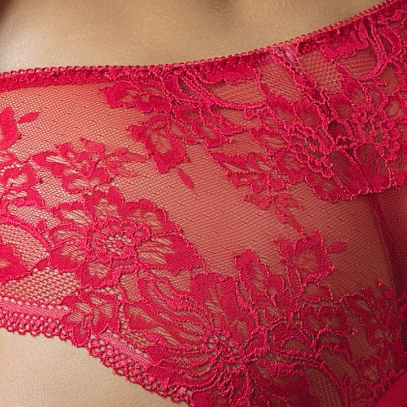 Lavinia Raspberry Kiss Lace Bikini Panty-2