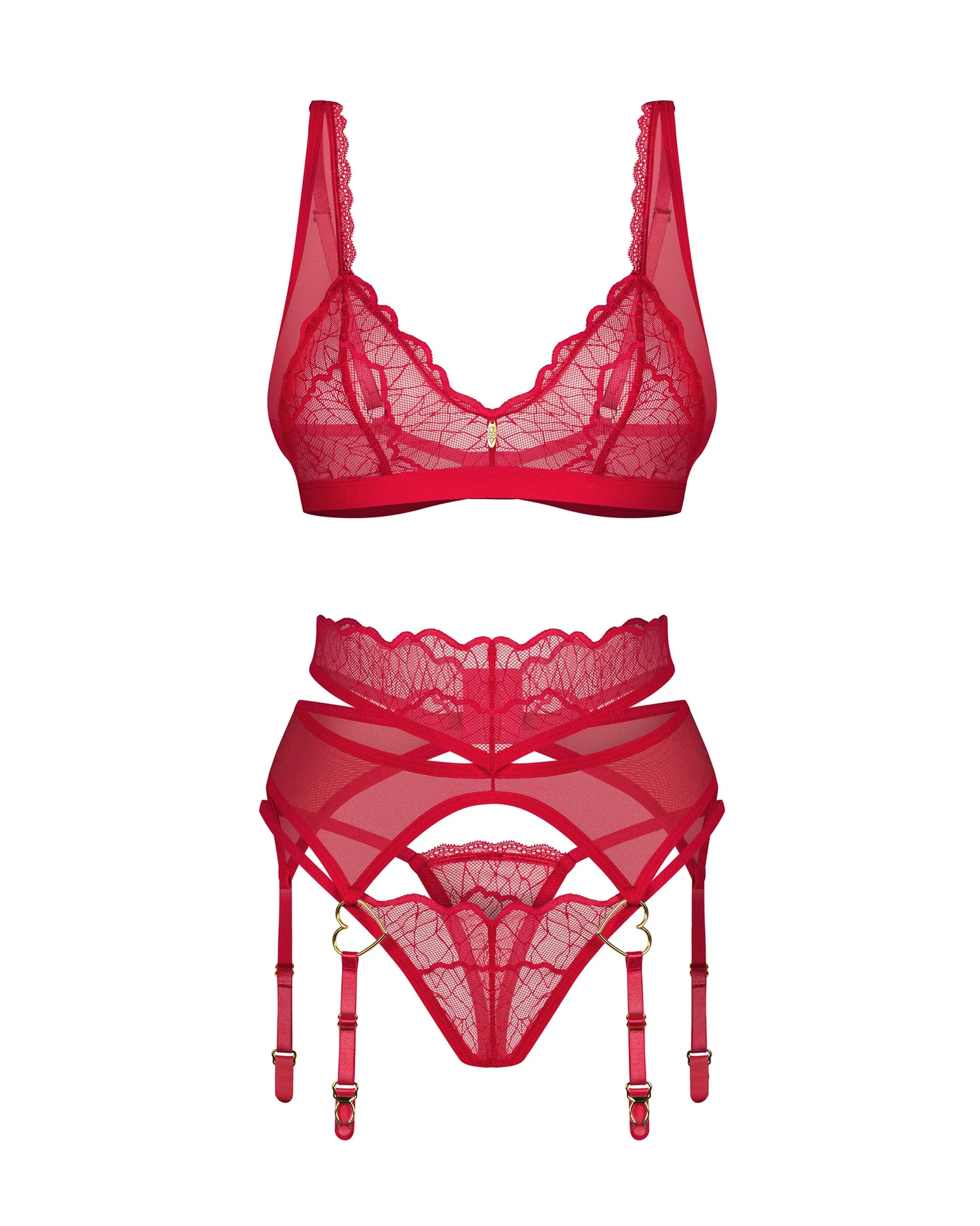 Sheer Bralette Thong Garter Belt Set Obsessive Cupide Desir-4